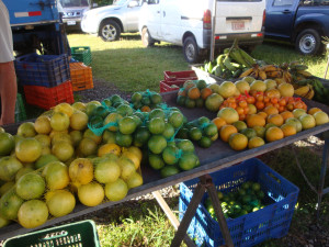 feria_organica_costa_rica_el_trueque_citricos_naranjas