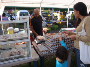 Huevos, pollos y carne orgánicos a buen precio!