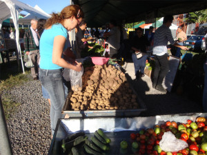 Papás, chiles, piñas orgánicas