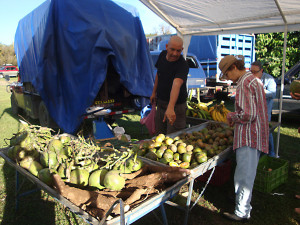 Platano, pipa y yuca organicos