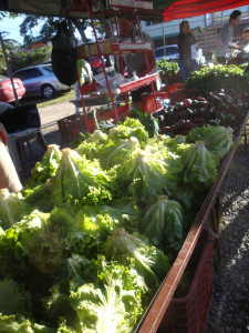 Lechuga, chiles y papas orgánicas