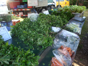 Yerbas y zanahorias orgánicas