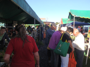 Un paseo en la feria  orgánica del trueque