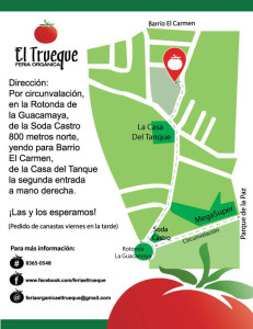 Llegar a la feria del Trueque