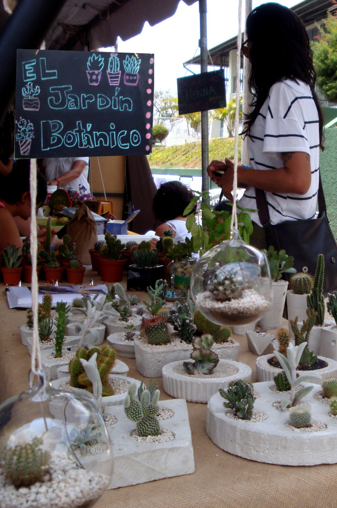 feria_holistica_evento_festival_costa_rica_companeros003